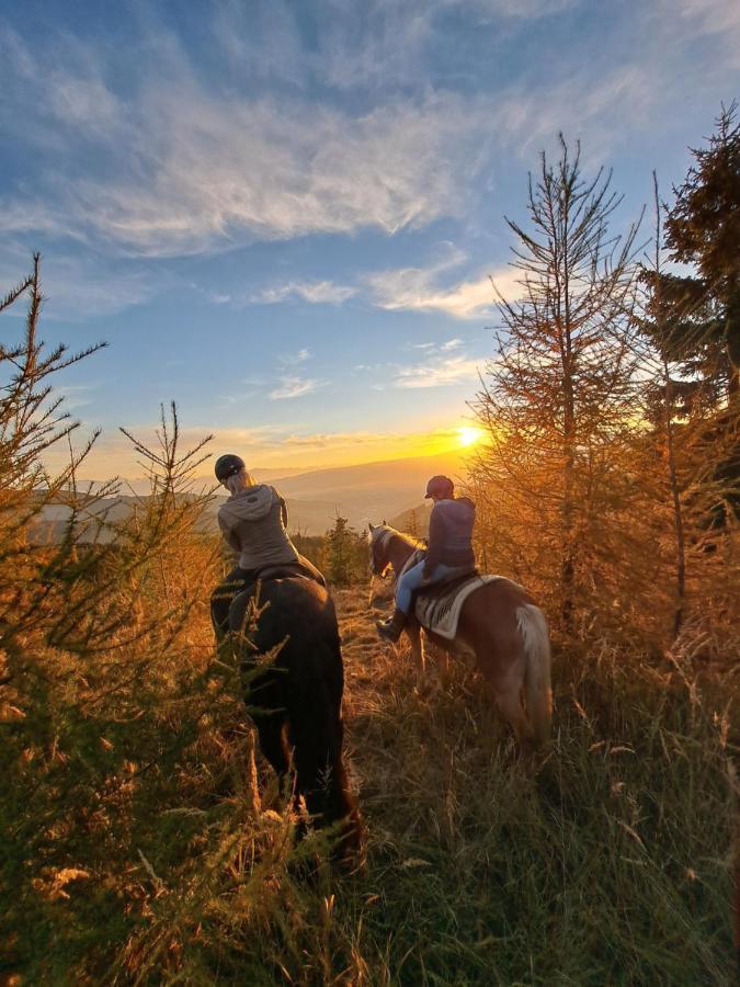 Erlebnisbauernhof Gutschi Ranch Kamp Eksteriør bilde