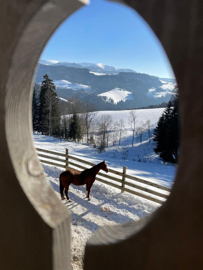 Erlebnisbauernhof Gutschi Ranch Kamp Eksteriør bilde