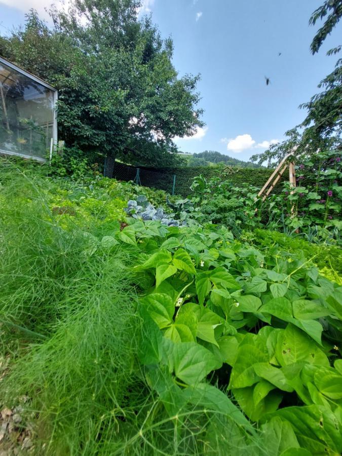 Erlebnisbauernhof Gutschi Ranch Kamp Eksteriør bilde