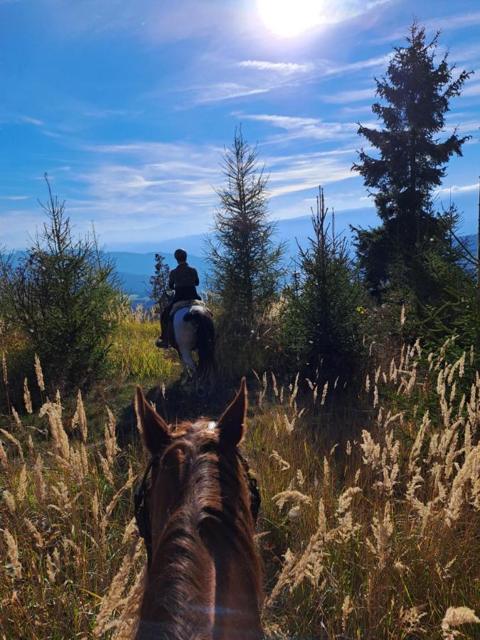 Erlebnisbauernhof Gutschi Ranch Kamp Eksteriør bilde