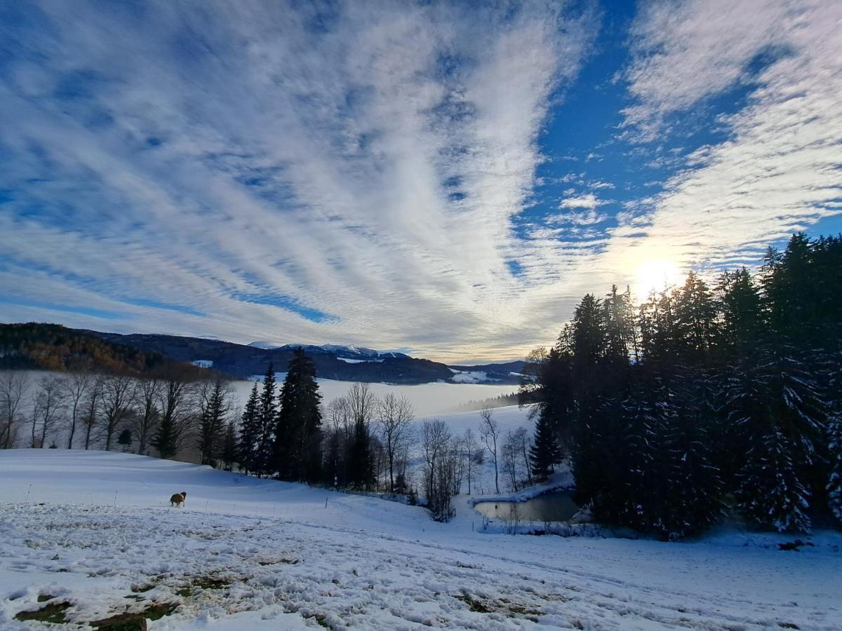 Erlebnisbauernhof Gutschi Ranch Kamp Eksteriør bilde