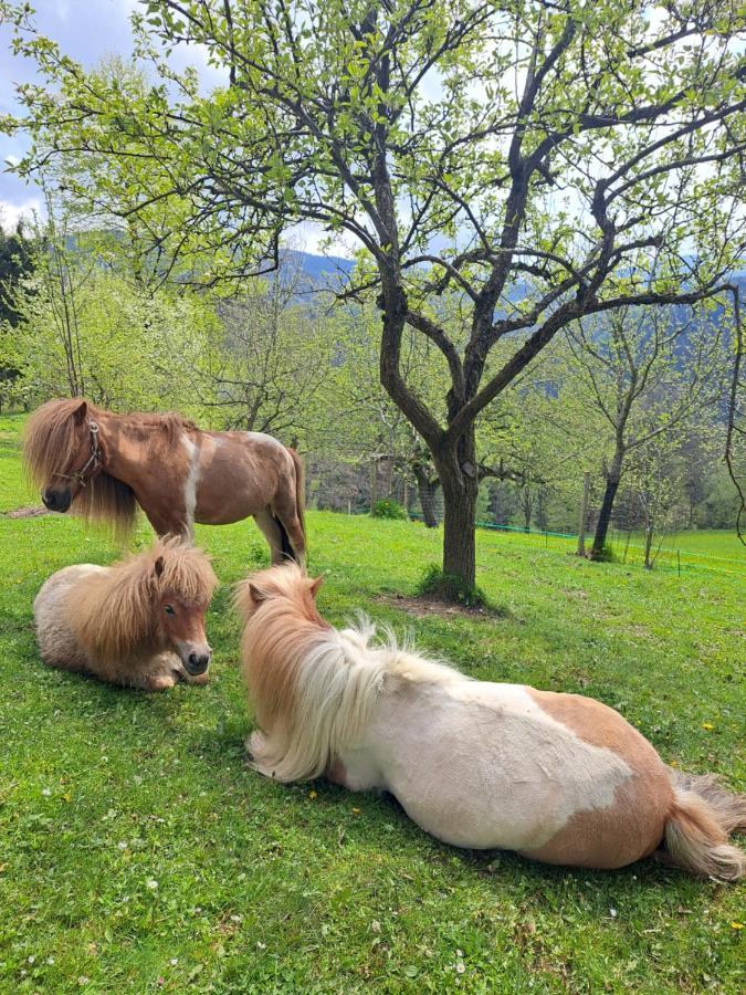 Erlebnisbauernhof Gutschi Ranch Kamp Eksteriør bilde