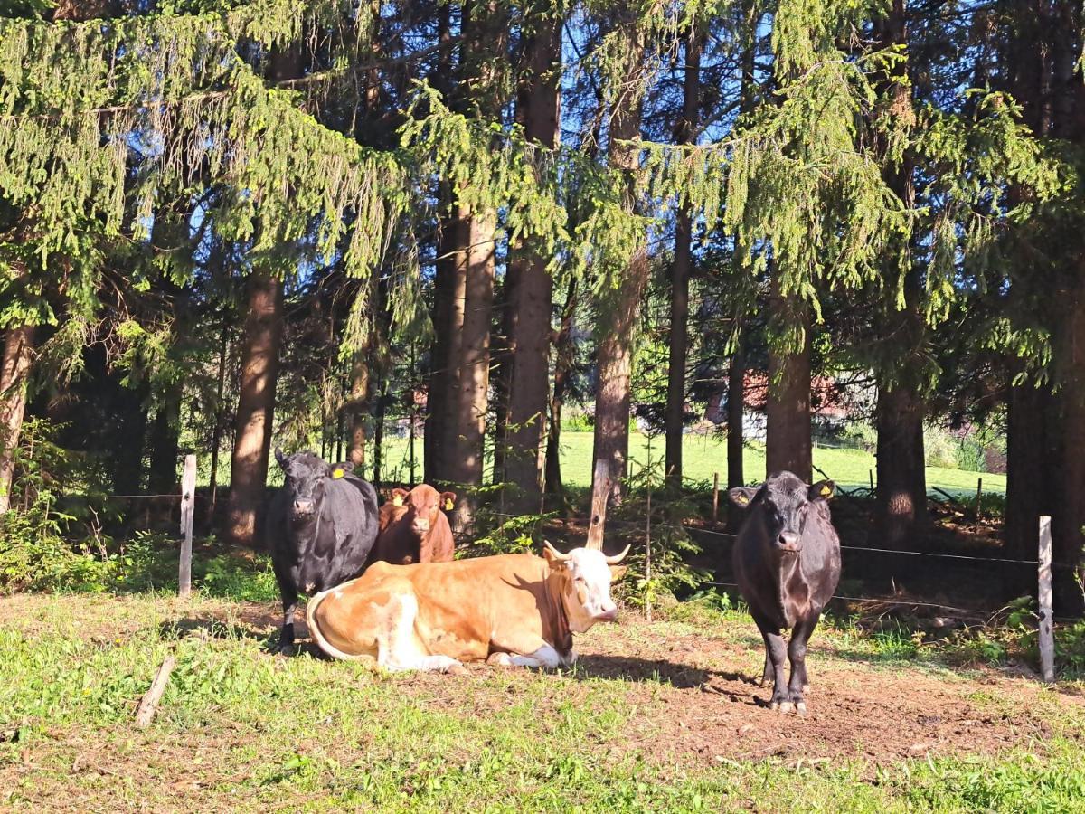 Erlebnisbauernhof Gutschi Ranch Kamp Eksteriør bilde